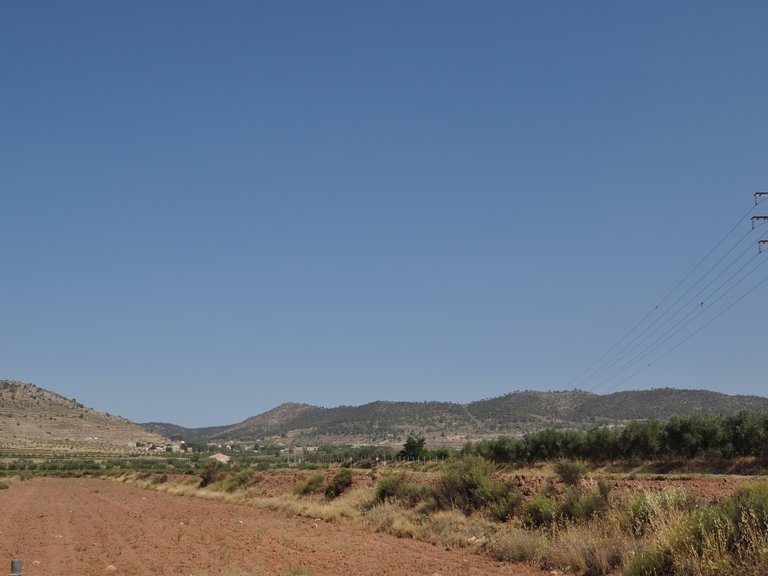 Plot for Sale in Pinoso, Alicante 6