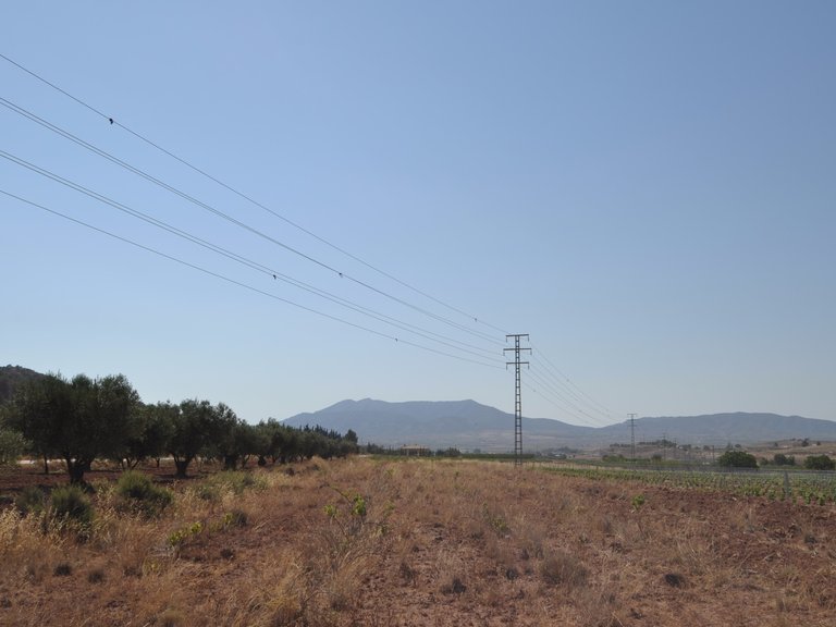 Plot for Sale in Pinoso, Alicante 4