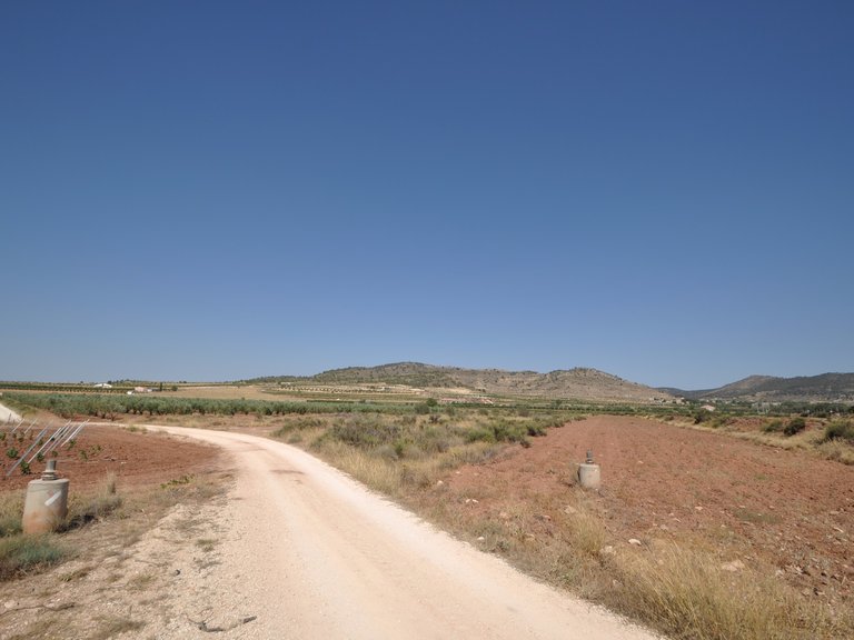 Plot for Sale in Pinoso, Alicante 2