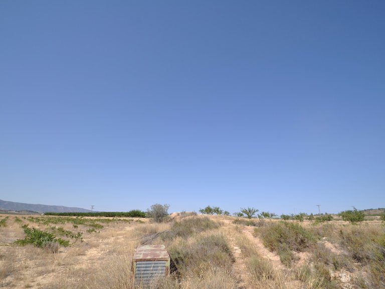 Plot for Sale in Pinoso, Alicante 8
