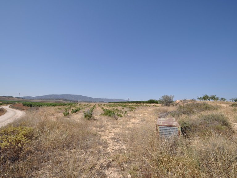 Plot for Sale in Pinoso, Alicante 7