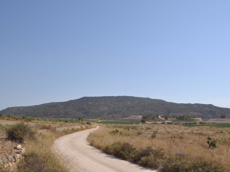 Plot for Sale in Pinoso, Alicante 4