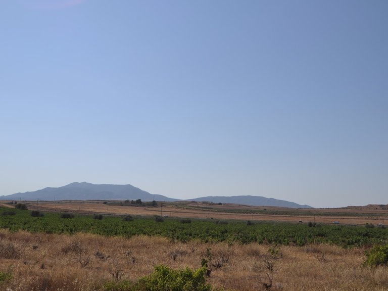 Plot for Sale in Pinoso, Alicante 2