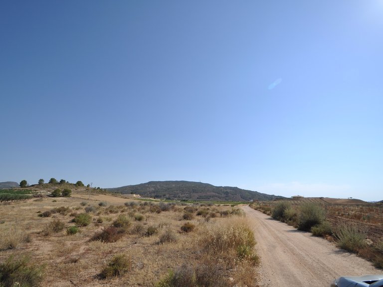 Plot for Sale in Pinoso, Alicante 6