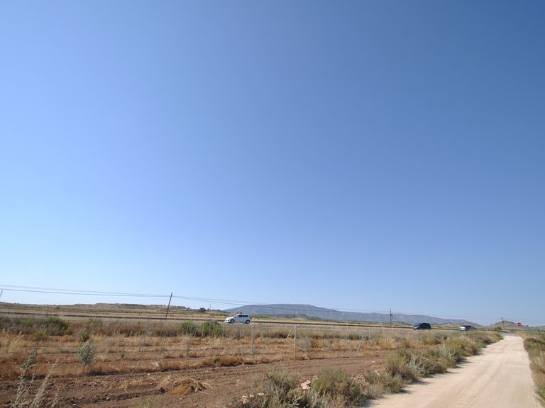 Plot for Sale in Pinoso, Alicante 5