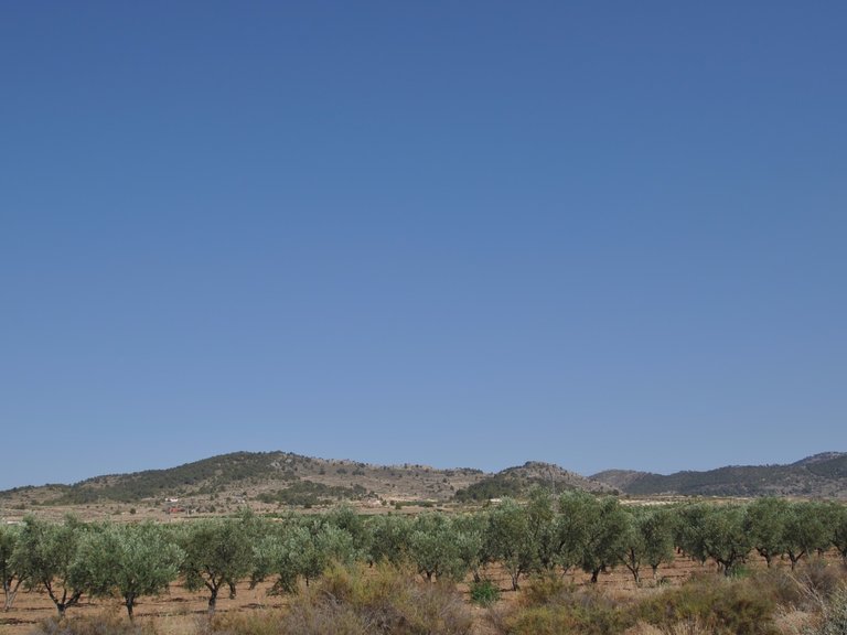 Plot for Sale in Pinoso, Alicante 3