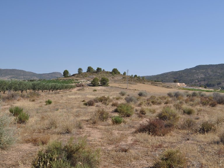 Plot for Sale in Pinoso, Alicante 2
