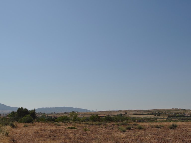 Plot for Sale in Pinoso, Alicante 6