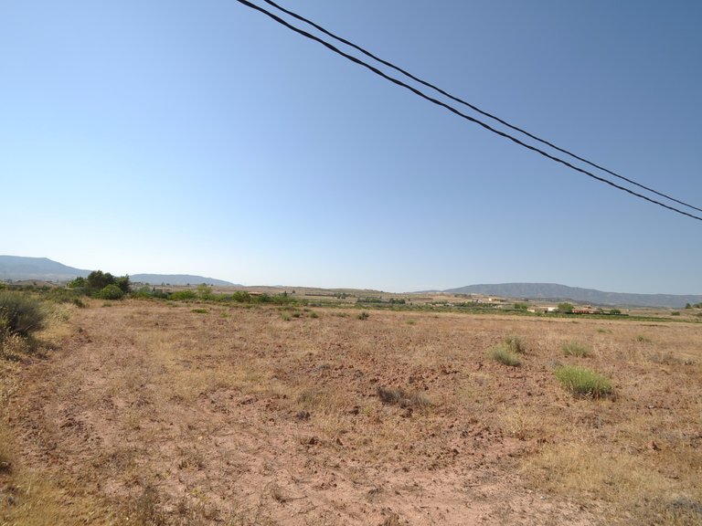 Plot for Sale in Pinoso, Alicante 5
