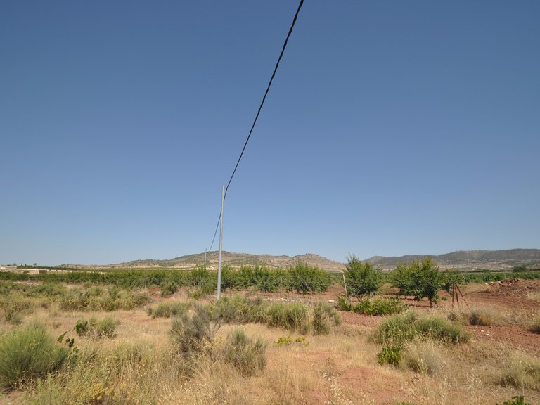 Plot for Sale in Pinoso, Alicante 2