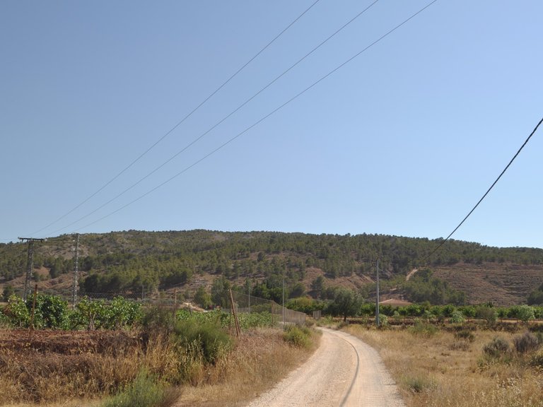 Plot for Sale in Pinoso, Alicante 4