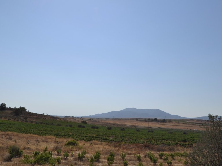 Plot for Sale in Pinoso, Alicante 3