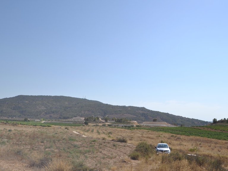 Plot for Sale in Pinoso, Alicante 2