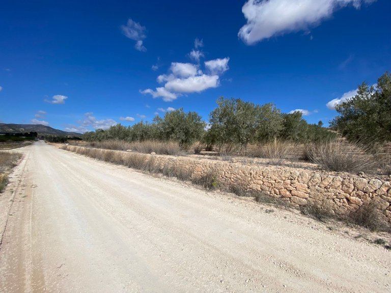 Plot for Sale in Pinoso, Alicante 2