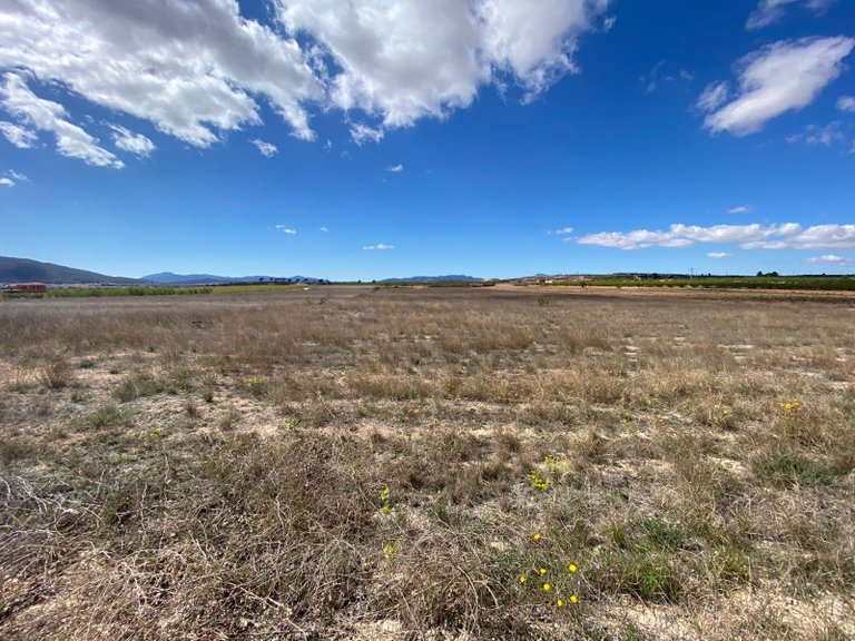 Plot for Sale in Pinoso, Alicante 9