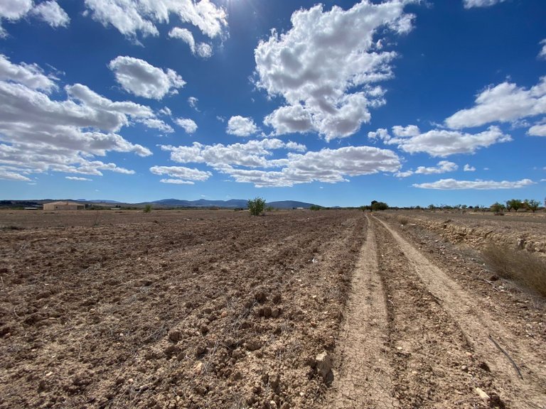 Plot for Sale in Pinoso, Alicante 2