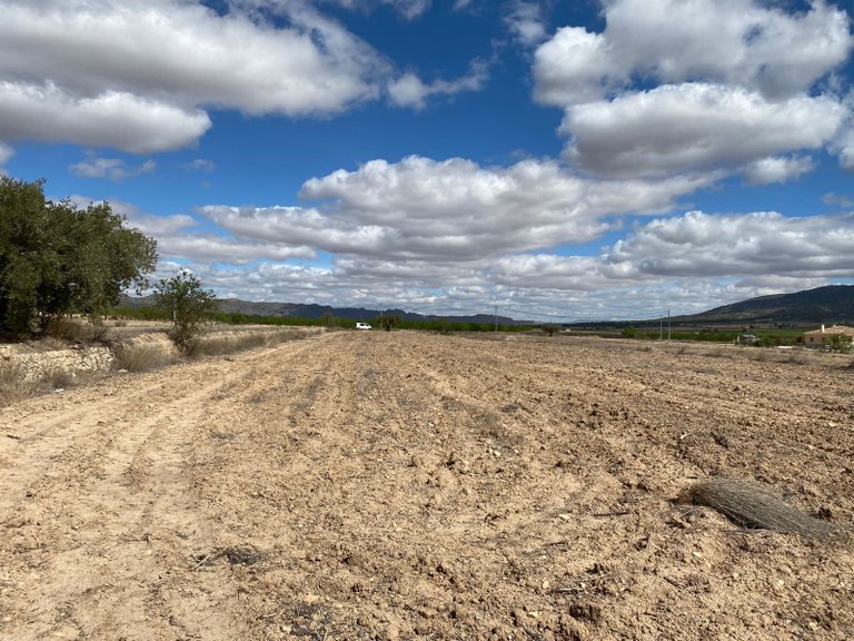 Plot for Sale in Pinoso, Alicante 3