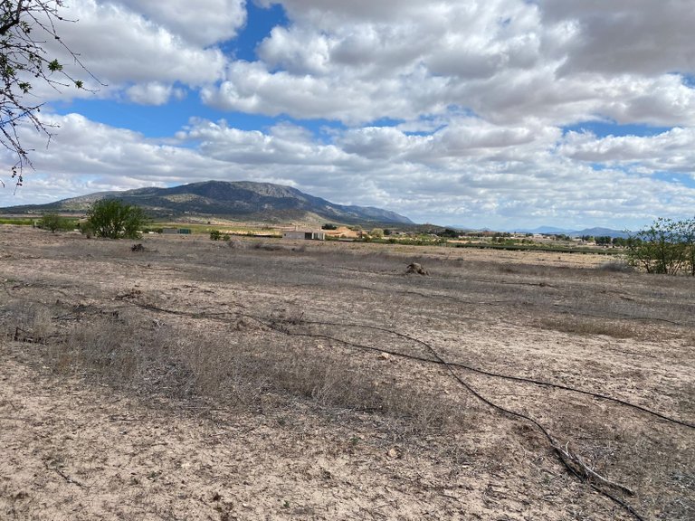 Plot for Sale in Pinoso, Alicante 6