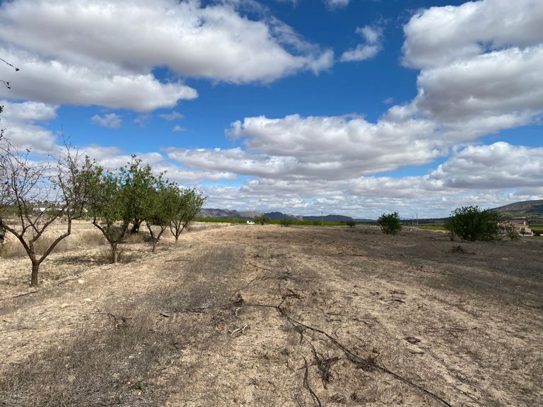 Plot for Sale in Pinoso, Alicante 8