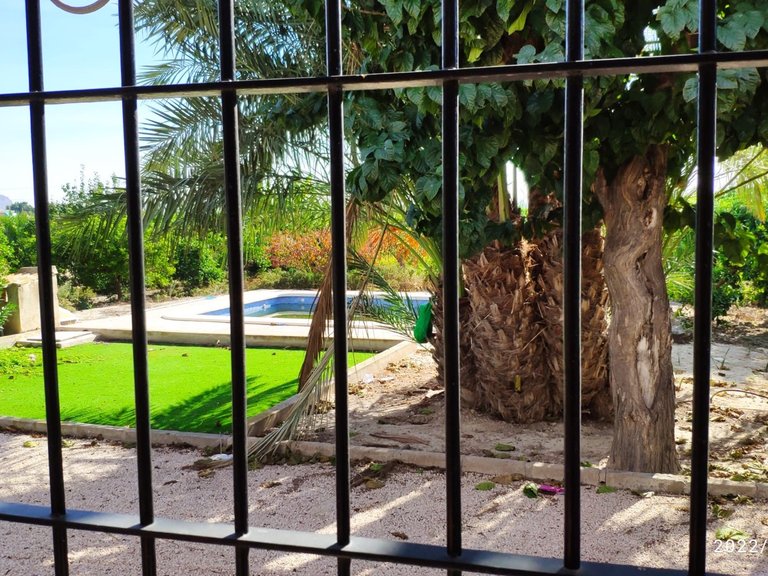 Villa for Sale in Redovan, Alicante 21