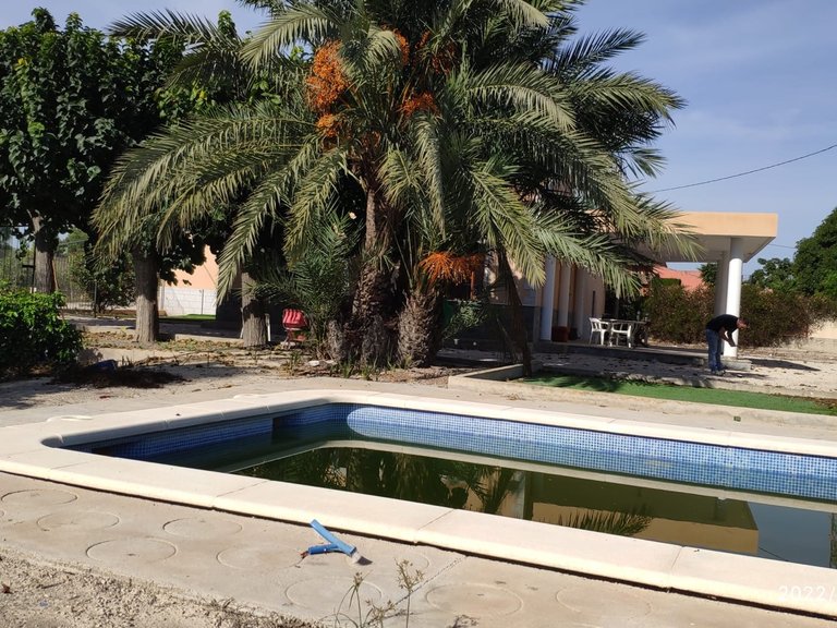 Villa for Sale in Inland Redovan, Alicante 19