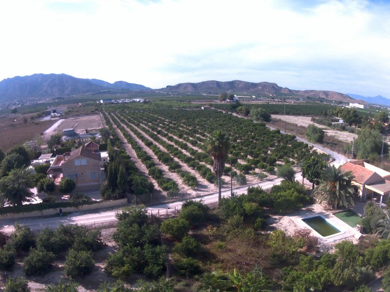 Villa for Sale in Redovan, Alicante 50