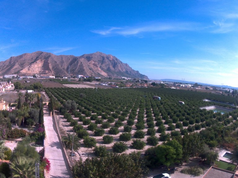 Villa for Sale in Redovan, Alicante 47