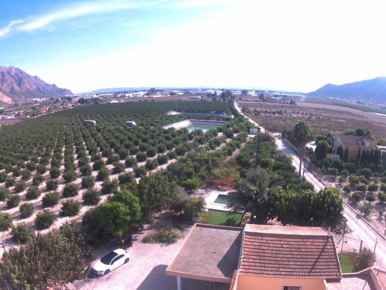 Villa for Sale in Redovan, Alicante 46