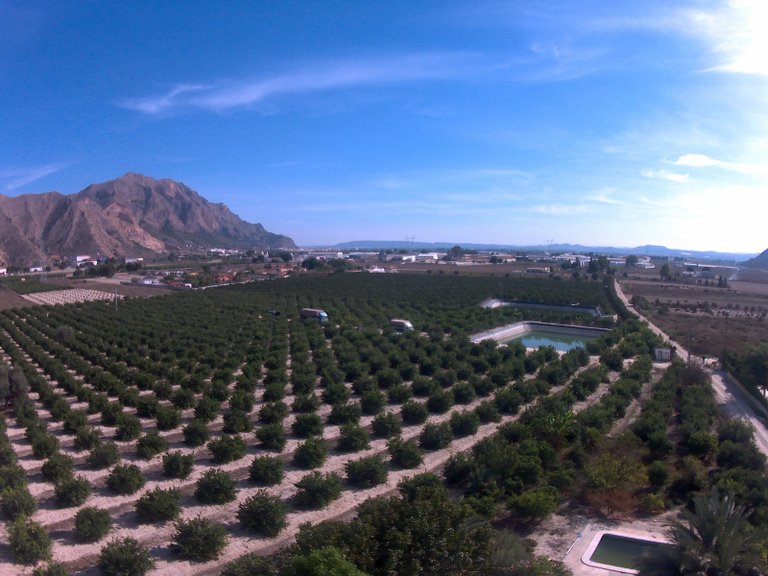 Villa for Sale in Redovan, Alicante 45