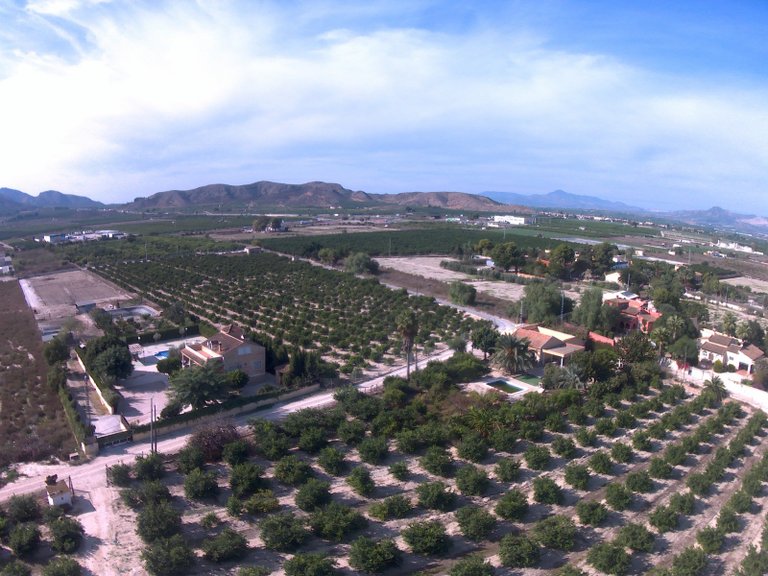 Villa for Sale in Redovan, Alicante 44