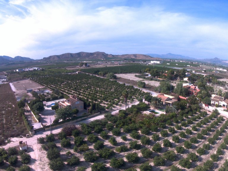 Villa for Sale in Redovan, Alicante 43