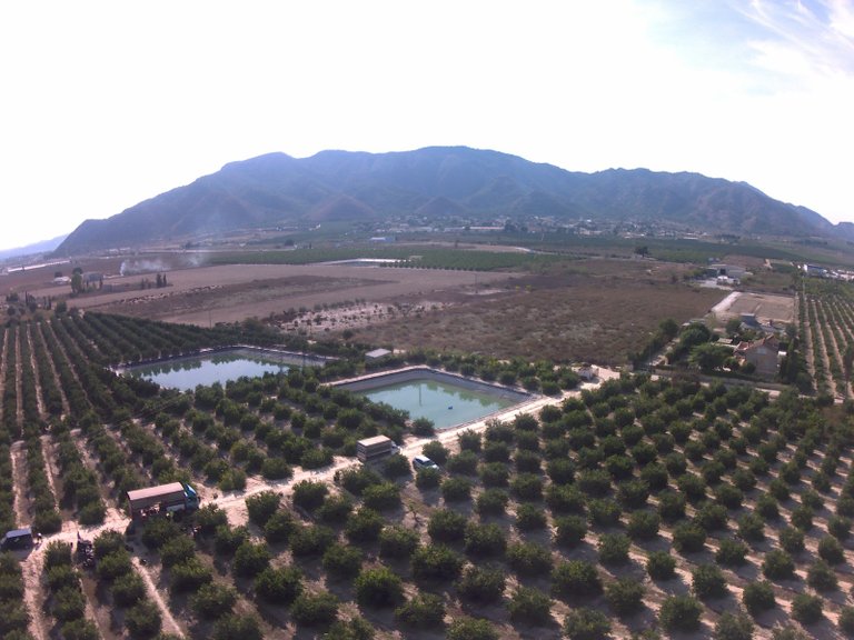Villa for Sale in Redovan, Alicante 42