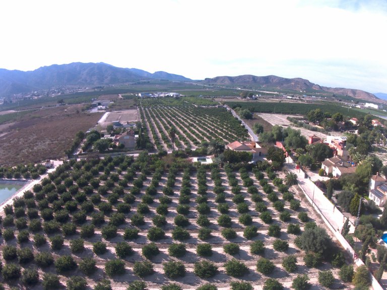 Villa for Sale in Redovan, Alicante 40