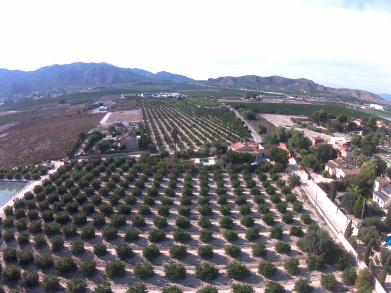 Villa for Sale in Redovan, Alicante 39