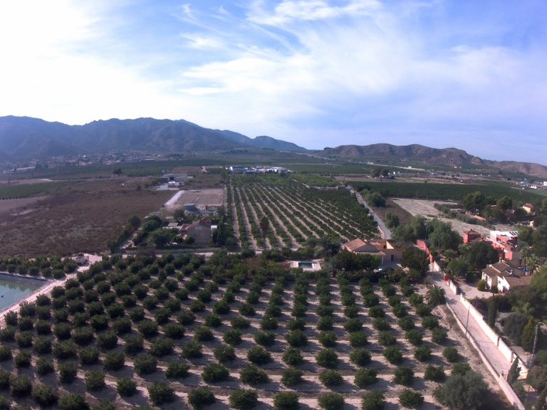 Villa for Sale in Redovan, Alicante 38