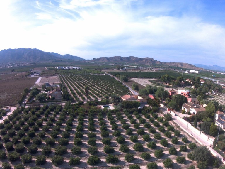 Villa for Sale in Redovan, Alicante 37