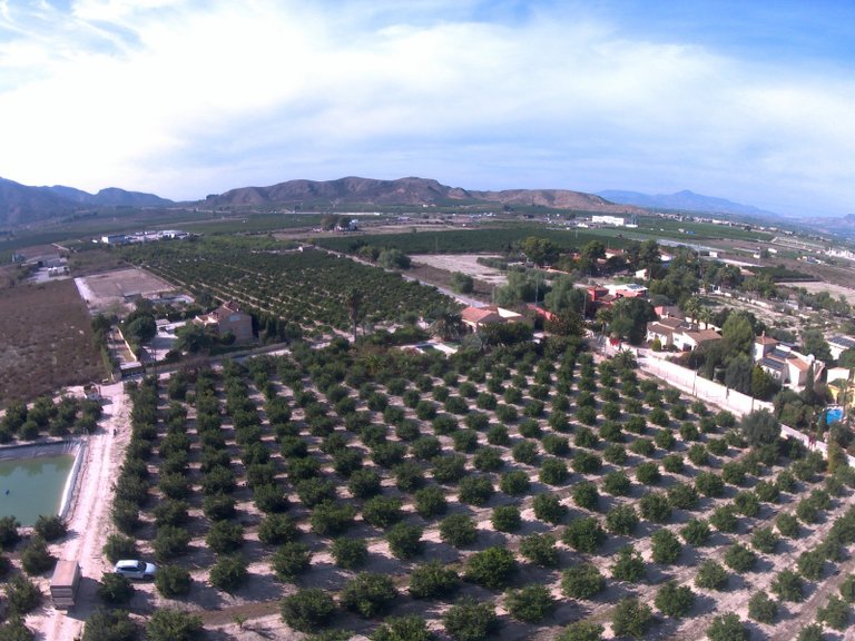 Villa for Sale in Redovan, Alicante 36