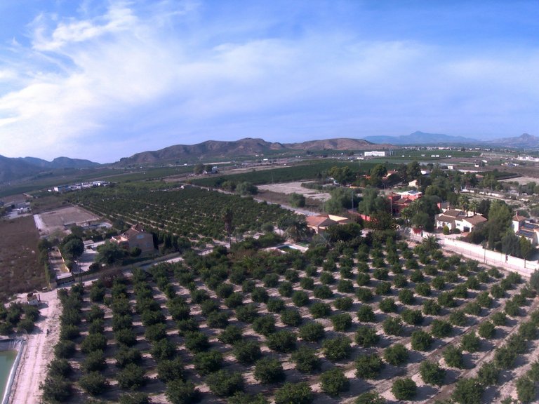 Villa for Sale in Redovan, Alicante 35