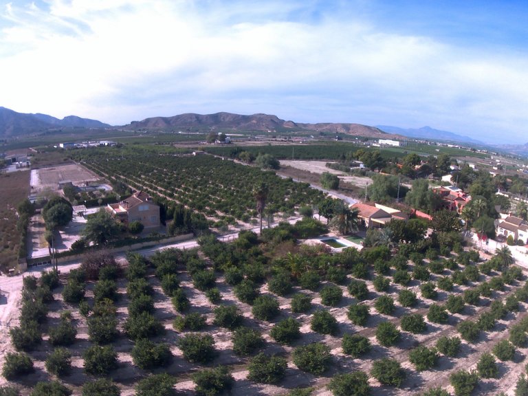Villa for Sale in Redovan, Alicante 34