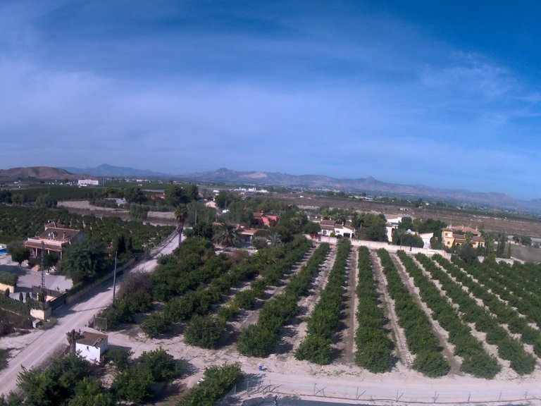 Villa for Sale in Redovan, Alicante 33