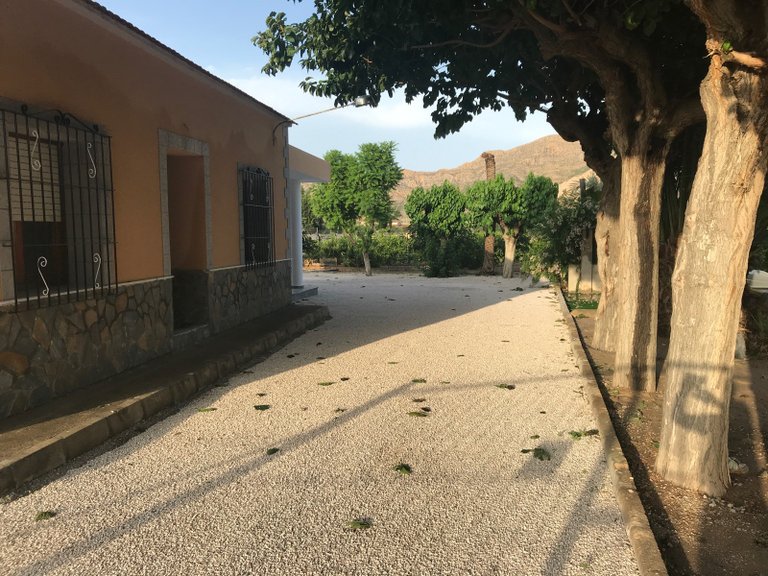 Villa for Sale in Redovan, Alicante 25