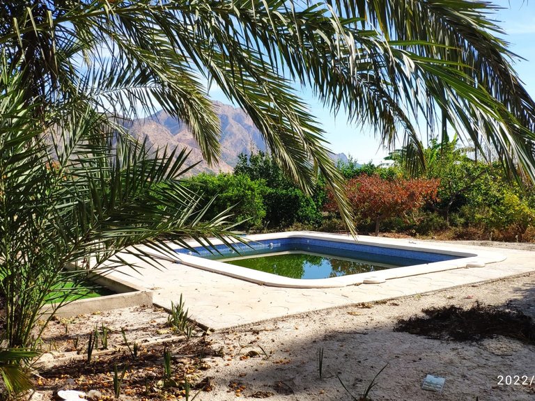 Villa for Sale in Inland Redovan, Alicante 3