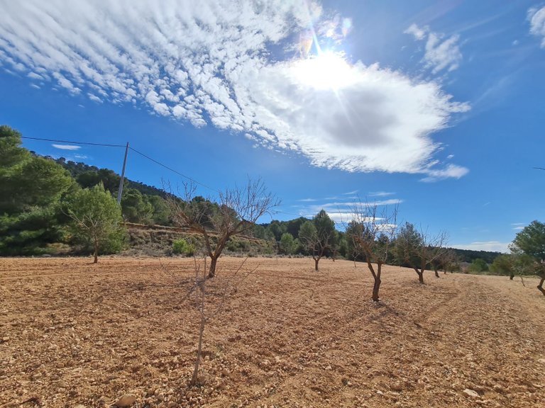 Plot for Sale in Pinoso, Alicante 19