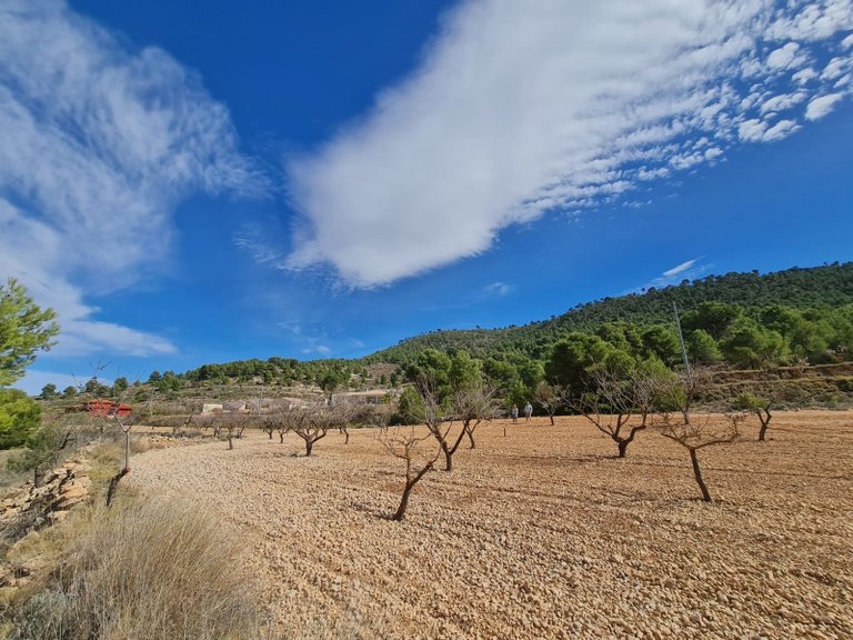 Plot for Sale in Pinoso, Alicante 18