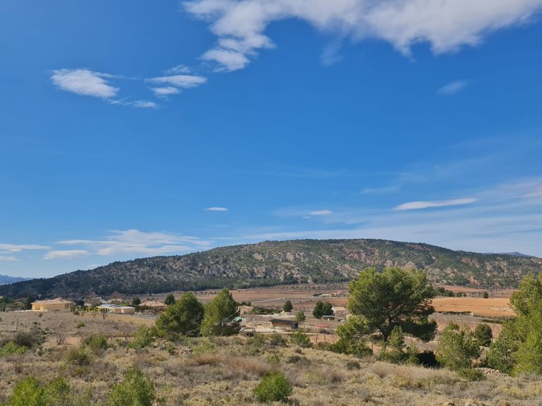Plot for Sale in Pinoso, Alicante 3
