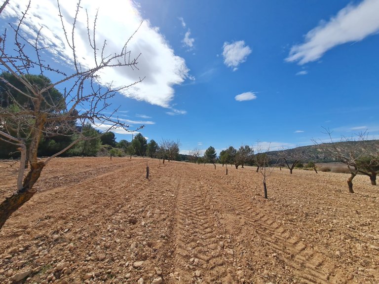 Plot for Sale in Pinoso, Alicante 14