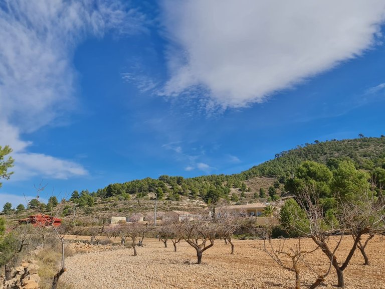 Plot for Sale in Pinoso, Alicante 12