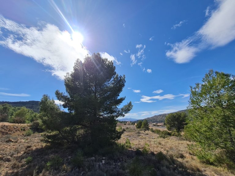 Plot for Sale in Pinoso, Alicante 11