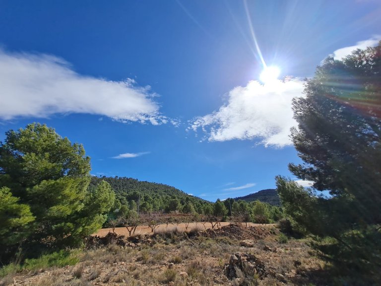 Plot for Sale in Pinoso, Alicante 2