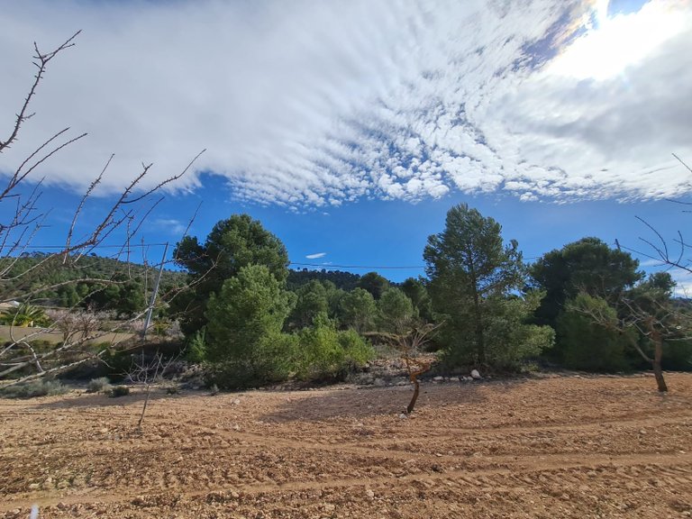Plot for Sale in Pinoso, Alicante 10